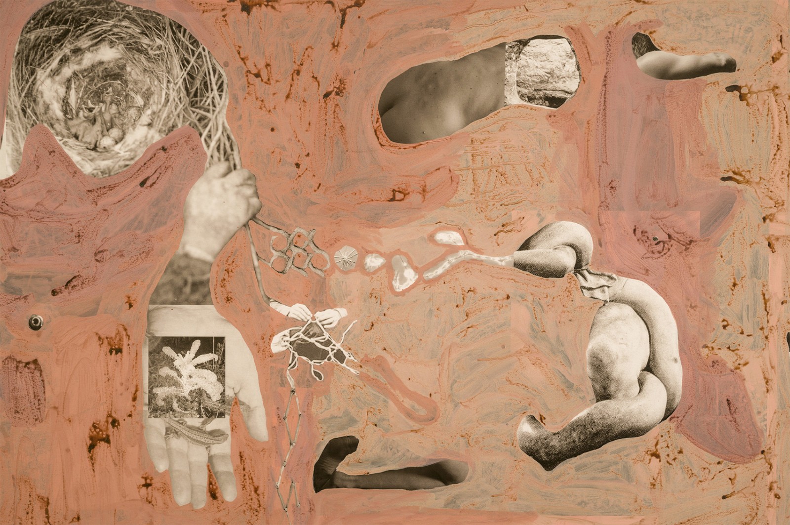 圖十二、《地勢 (關(guān)于時間，關(guān)于身體)》 (細節(jié)圖)，O?zlem Alt?n，2019